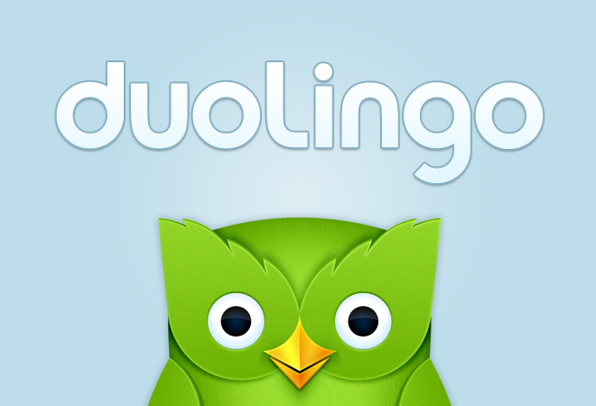 Duoling - Duo Owl
