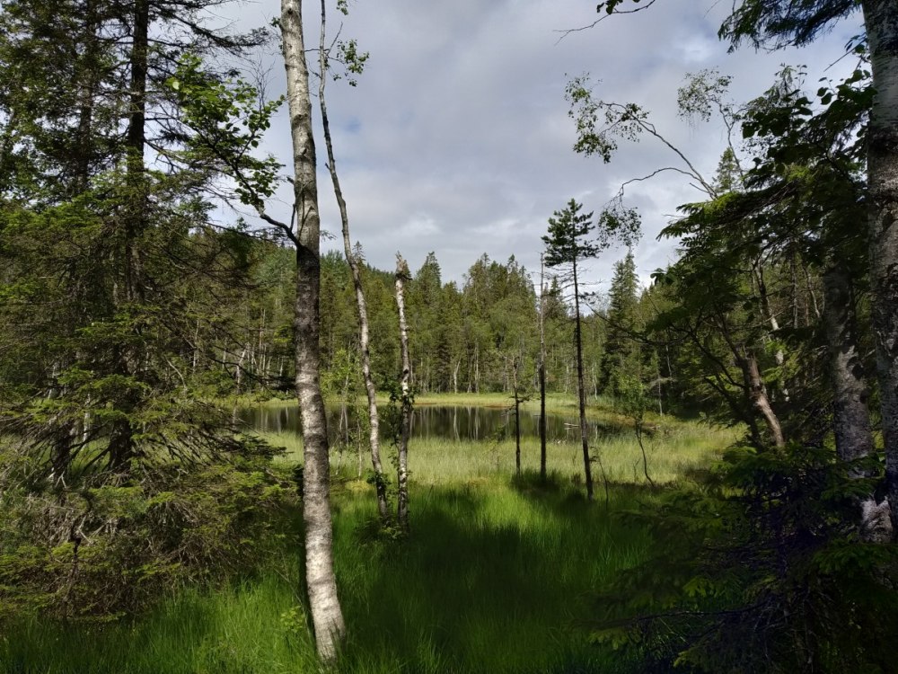 Østmarka - Svartputten